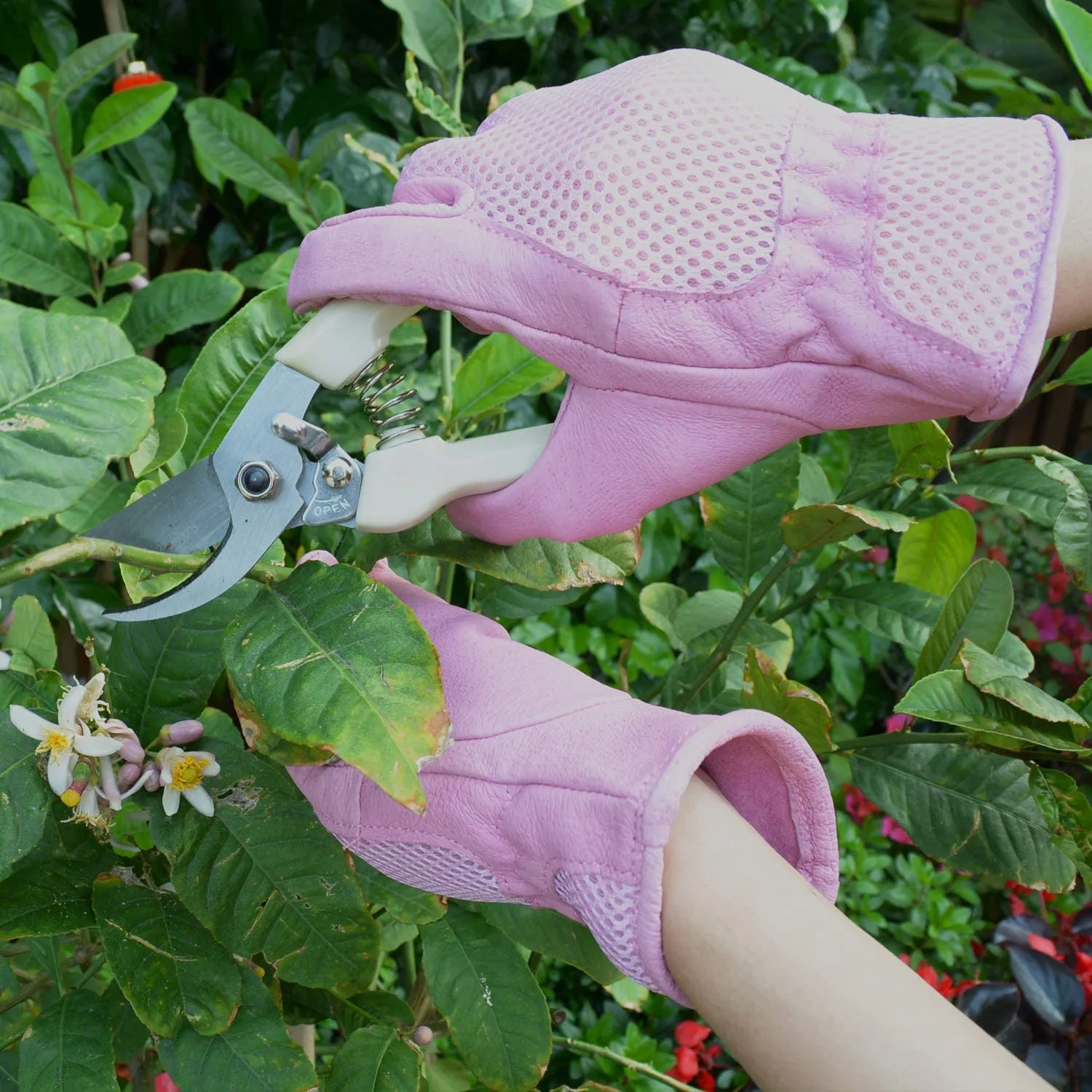 Handlandy Wholesale Ladies Garden Gloves Improves Dexterity Breath Plant 512324 (120 Pairs)