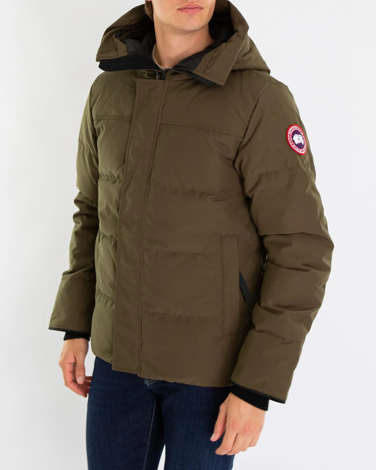 Heren Macmillan Parka Groen